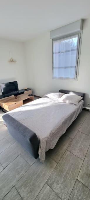Apartamento T2 Pool & Terrasse - Parking - Metro - Wifi Toulouse Exterior foto