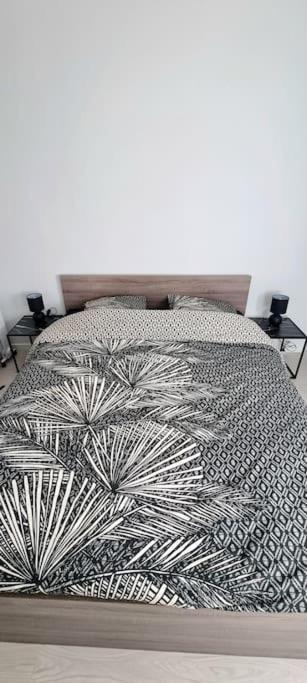 Apartamento T2 Pool & Terrasse - Parking - Metro - Wifi Toulouse Exterior foto
